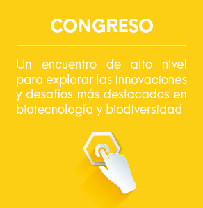 congreso