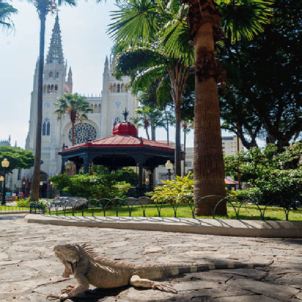 guayaquil
